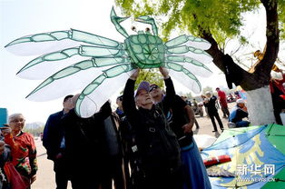 4月12日,一名来自西安的风筝高手在展示自己的风筝。    摄 