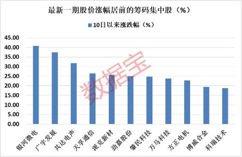 A股股东户数从哪可以查到?