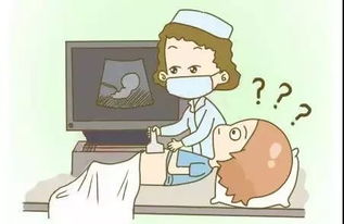 孕期B超全解析，孕妈妈必看：孕期需做几次B超？