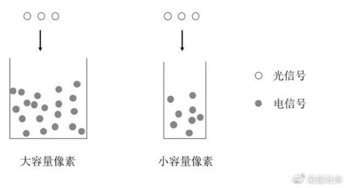 荣耀副总裁科普 为什么亿级像素方向错了 手机拍照并非像素越高越好