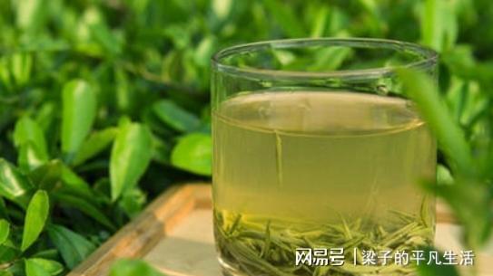 绿茶里面可以加什么作用