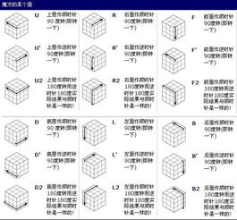 一面只有四个格的魔方教程 