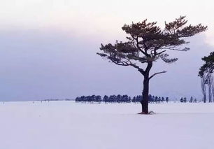 这组CP大片的刷屏,除了帅哥,背后还有什么 