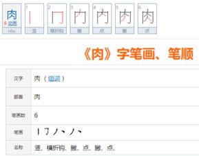 肉是什么结构,共有几画,第四画是什么 