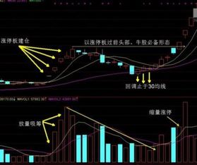 如新股票下跌后是否有大量买入