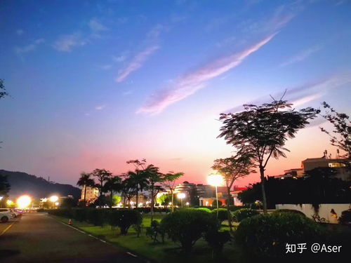 华南农业大学it专业就业前景(图2)