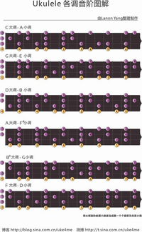 尤克里里a音阶图 搜狗图片搜索