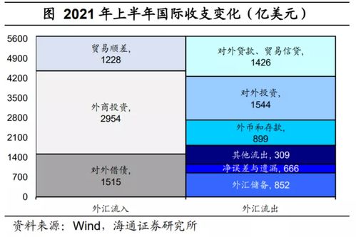 外汇、外币使用、报销、财务上如何处理