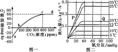 哪里的二氧化碳浓度最高