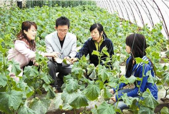 大学生村官值得报考吗 未来发展前景怎么样