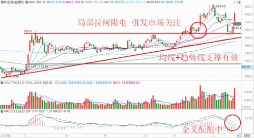 盛视科技主力资金连续净流入，3日净流入2660.80万元