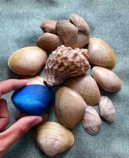 如何用海边捡的贝壳做工艺品(海边贝壳可以做什么手工)