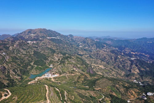 原来 鸭屎香 的原产地就是这里 揭秘潮州凤凰单丛茶的致富密码