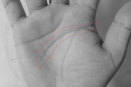 掌纹图解女右手详解 手掌纹中各条线的含义