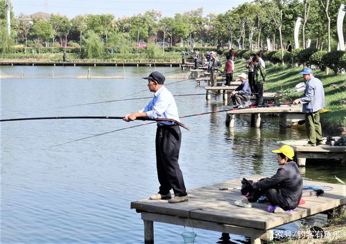 专家建议孩子钓鱼吗 请问各位钓鱼专家钓小、中、大型鱼分别用多少号线好