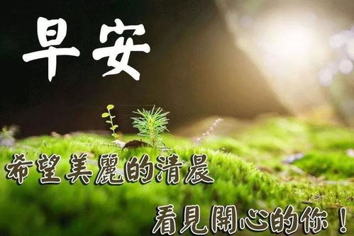 清晨幸福很暖心祝福语图片带字 好看的温馨的早上好图片