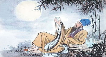 苏轼写过关于洪泽湖的诗句