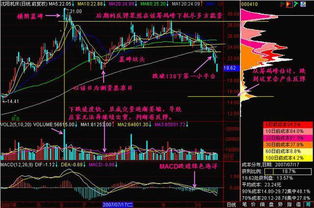 中国套牢盘割肉比率是多少