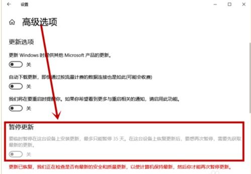 win10登录选项某些设置已隐藏