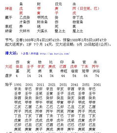 这全阳的八字好吗 