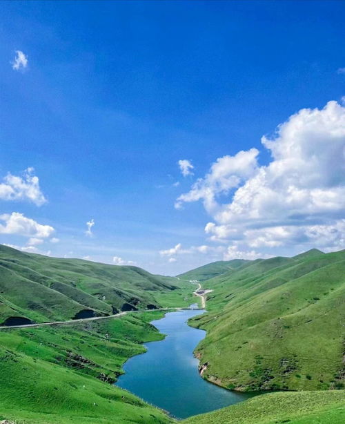 旅游方式分享 云南旅游大海草山 