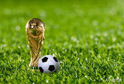 《世界杯2022免费在线直播：看足球比赛，不花一分钱！》
