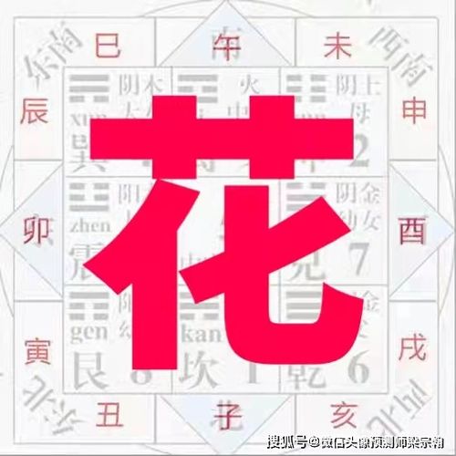 你的名字中是否也有禁用字 你知道为什么禁用吗