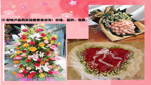 花卉大赛方案模板(花卉比赛)