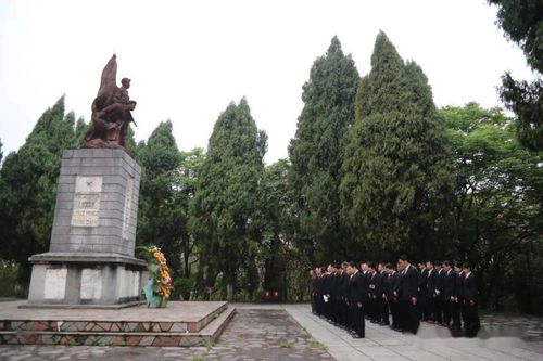 合山法院 缅怀革命先烈 铸牢忠诚法魂