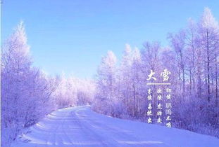 后天大雪节气(大雪后什么节气)