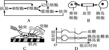 光合作用的有机有累积量怎样求，它和有机物总量有什么不同