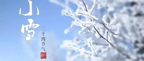 小雪养生 秘诀就是 暖