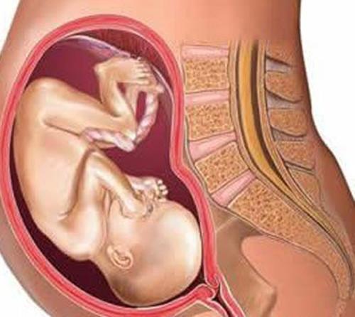 六个月的孕妇吃什么对胎儿好