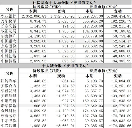 股市中，除了证金、汇金还有哪些国家队？