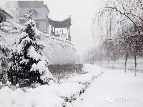 公路养护网 全球通用路面除雪方式及利弊