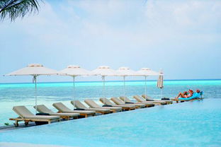 马尔代夫旅游直播一览美景的绝佳去处（马尔代夫旅游团）