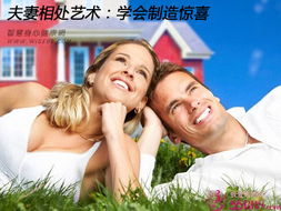 婚姻幸福宝典 学会夫妻相处的艺术