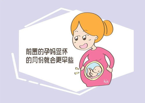 过早显怀是好事 还是坏事 掌握这几点,健康孕育