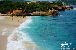 蓝梦岛自助游预定价格及攻略，让你的旅游更省心！