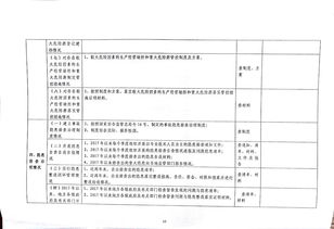 龙州县旅游行业开展落实企业安全生产主体责任专项巡查行动实施方案