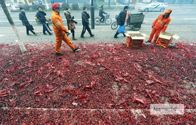 中国日报2013春节特刊图片精选 