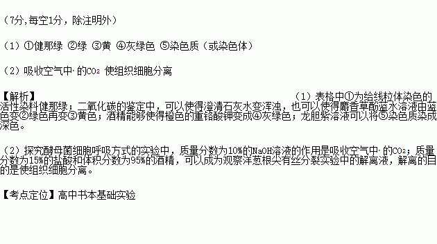 酵母菌细胞呼吸能产生CO2，试探究如何检测CO2产生量的多少