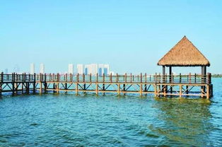 马尔代夫的海边旅游南昌瑶湖马尔代夫海滩要门票吗（瑶湖马尔代夫在哪里）