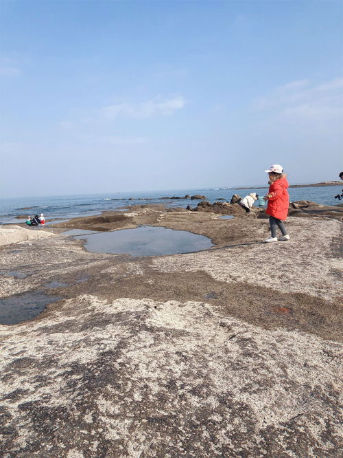 日照海边免费停车场在哪个位置,端午小长假自驾游:日照必去景点哪里好玩