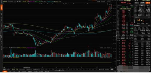 中药龙头股排名前十：东阿阿胶股价下跌3%