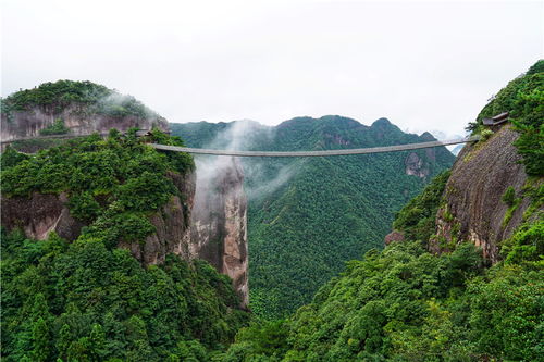 浙江台州有个神仙景区,常年云雾缥缈,宛若仙境,很适合情侣打卡