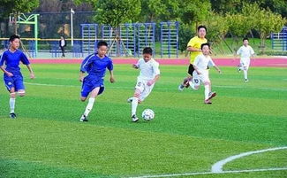 闵行区81所学校普及足球教学 足球不仅是一种运动,更是一种教育方式