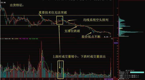 请问在曼城炒股模拟软件中只能看见你所买入的股票行情吗？其它的股票行情要怎样才能了解它的行呢？