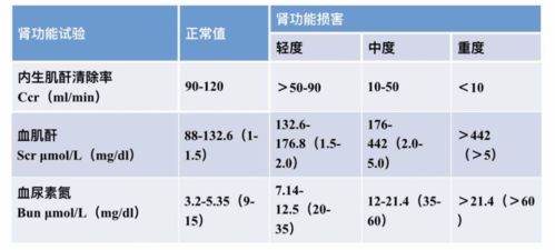 疾病专题 直播肾小球疾病的概述