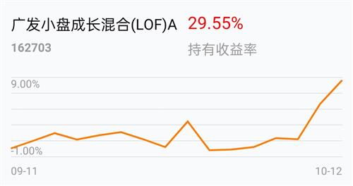 请大家帮忙分析一下广发小盘这支基金做定投如何